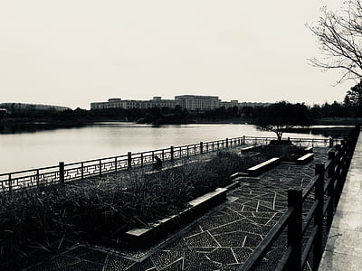 grayscale photo of body of water near building thumbnail