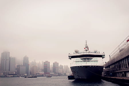 white cruise ship on body of water thumbnail
