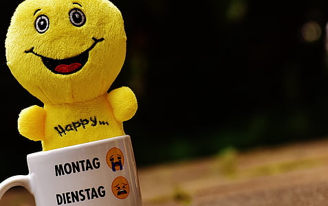 rule of thirds photography of mug and emoji toy thumbnail