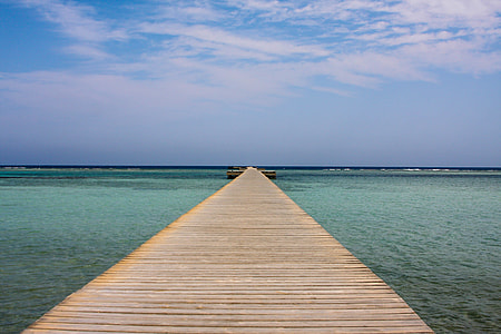 brown wooden dock at daylight photography thumbnail