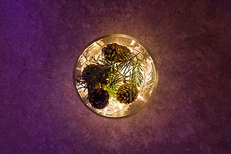 pinecone in glass vase thumbnail