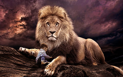 toddler and lion thumbnail