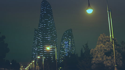 high-rise buildings near trees thumbnail