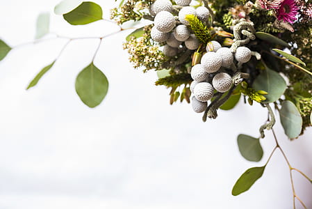 green plant decor thumbnail