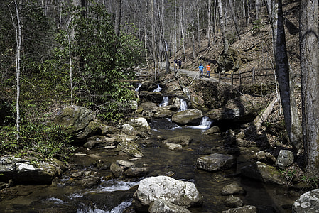 River landscape at Anna Ruby Falls, Georgia thumbnail