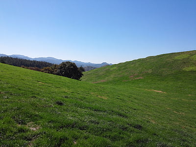 green grass-covered hill during day thumbnail