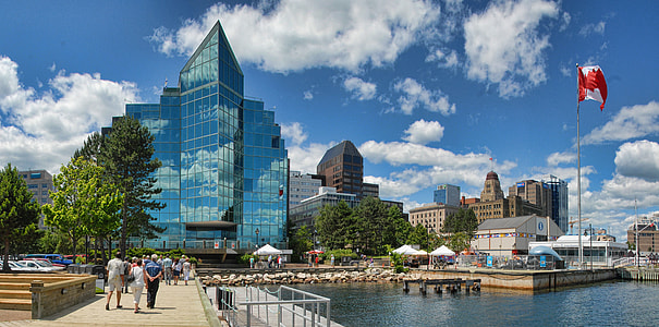 people walking by the bay during daytime thumbnail