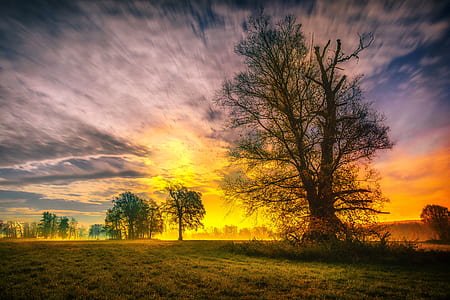 scenery of sunset thumbnail