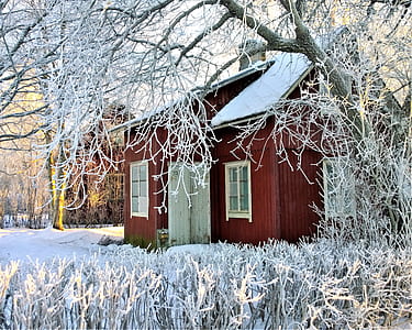 brown and white wooden house during daytime thumbnail