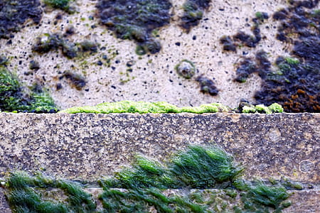 Detail of the waterfront thumbnail