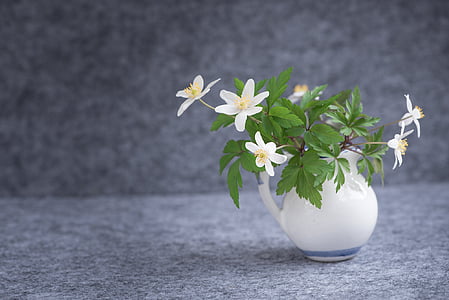 white flower arrangement in vase thumbnail