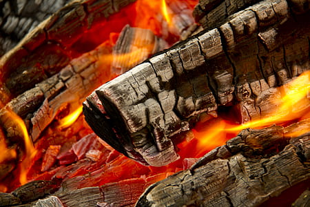 burning wood close up photography thumbnail