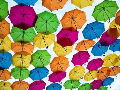 assorted-color umbrella lot thumbnail