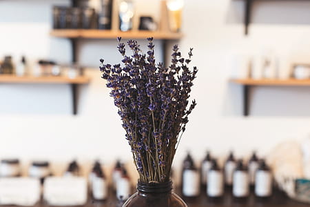 Lavender In Shop Photo thumbnail