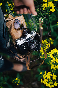 Woman with vintage camera in the field of blooming rapes thumbnail