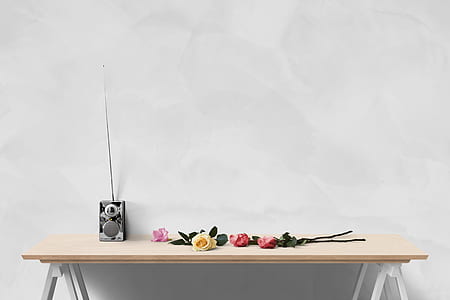 rose flowers on table thumbnail