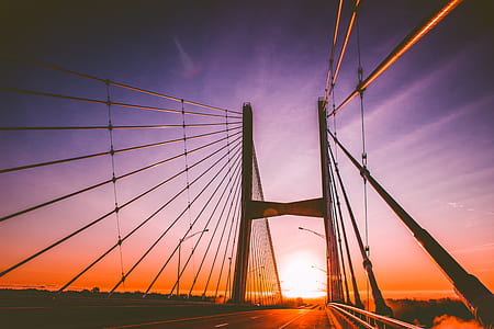 silhouette of cable-stayed bridge during golden hour thumbnail