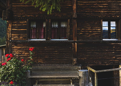 bench near flowers and window thumbnail