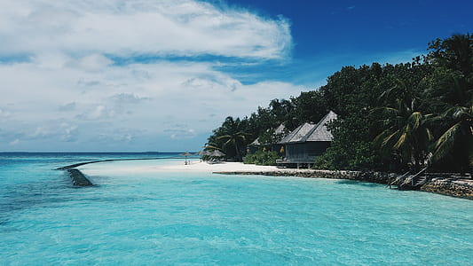 grey hut on white sand beach thumbnail