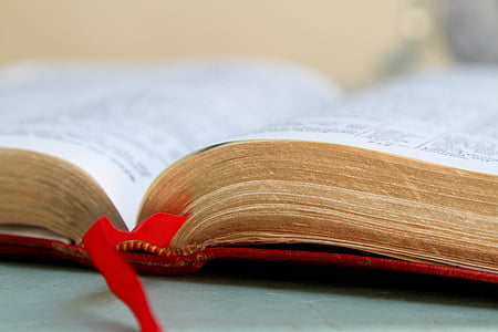 half open book on gray surface thumbnail