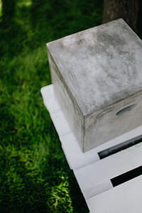 Grass, concrete, sneakers thumbnail