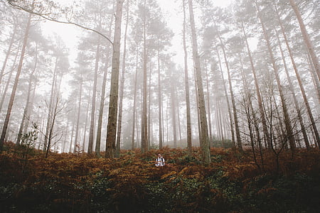 man standing in the middle of the forest thumbnail