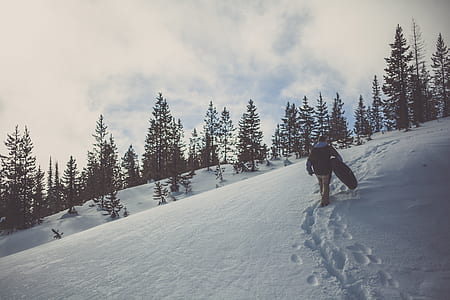 person walking on snow covered hill thumbnail