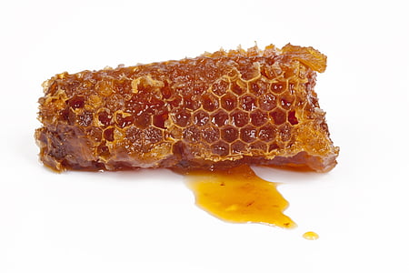 honey comb thumbnail