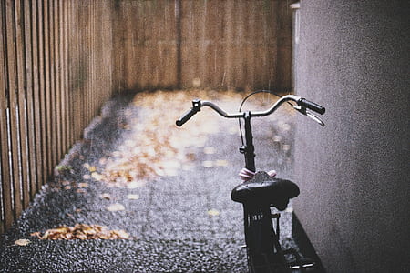 beach cruiser parked near brown wooden fence thumbnail