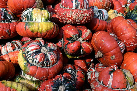 red pumpkin thumbnail