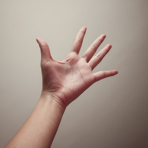 person left palm thumbnail