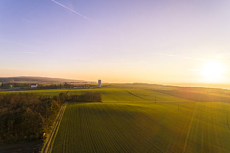 green grass field thumbnail