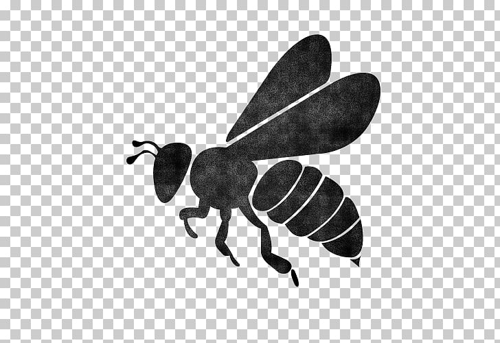 European Dark Bee Silhouette Queen Bee Bee Png Clipart Free Cliparts Uihere