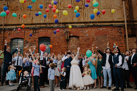 Party crowd at wedding thumbnail