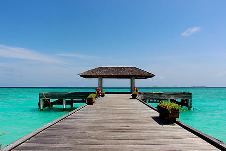 brown wooden dock under blue sky thumbnail