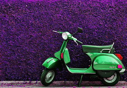 motor scooter parked beside purple hedge thumbnail