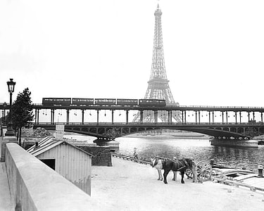 horses near river with carriage and Eiffel tower in background thumbnail