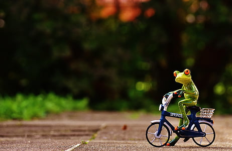 frog on bicycle thumbnail