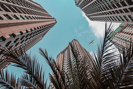 worms eye view of building and palm trees thumbnail