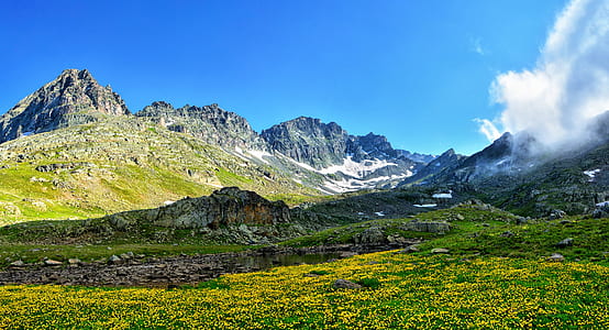 photo of grassy mountain thumbnail