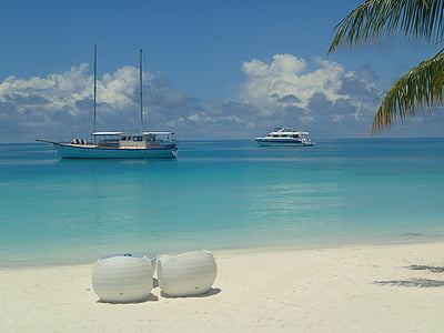 sail boat on body of water beside shoreline thumbnail