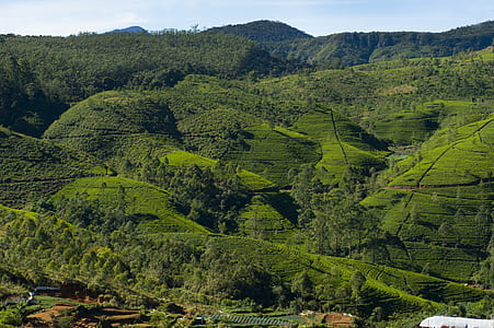 landscape, mountains, nature, countryside thumbnail