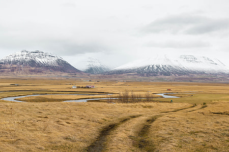 brown grass field with body of water thumbnail