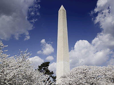 Washington Monument thumbnail