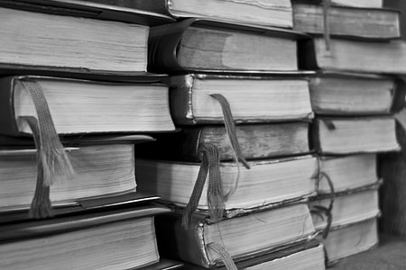 person taking photo of assorted collection books thumbnail