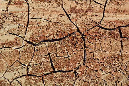 closeup photo of dried mud thumbnail