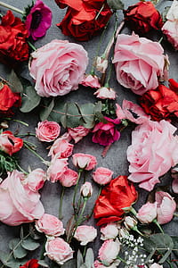 Composition of flowers thumbnail