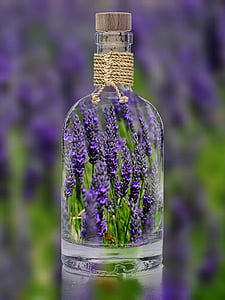 clear glass cork bottle filled with lavender thumbnail