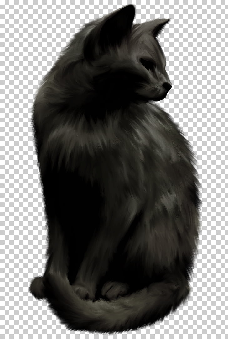 Norwegian Forest Cat Nebelung Whiskers Black Cat Domestic Short