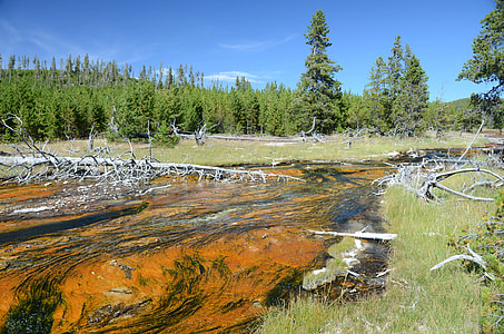 Rabbit Creek, Yellowstone National Park thumbnail